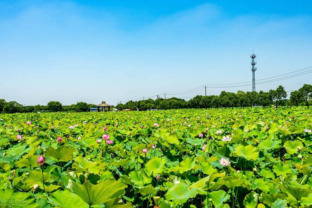 《菜根谭》把握住当下，才能成就未来