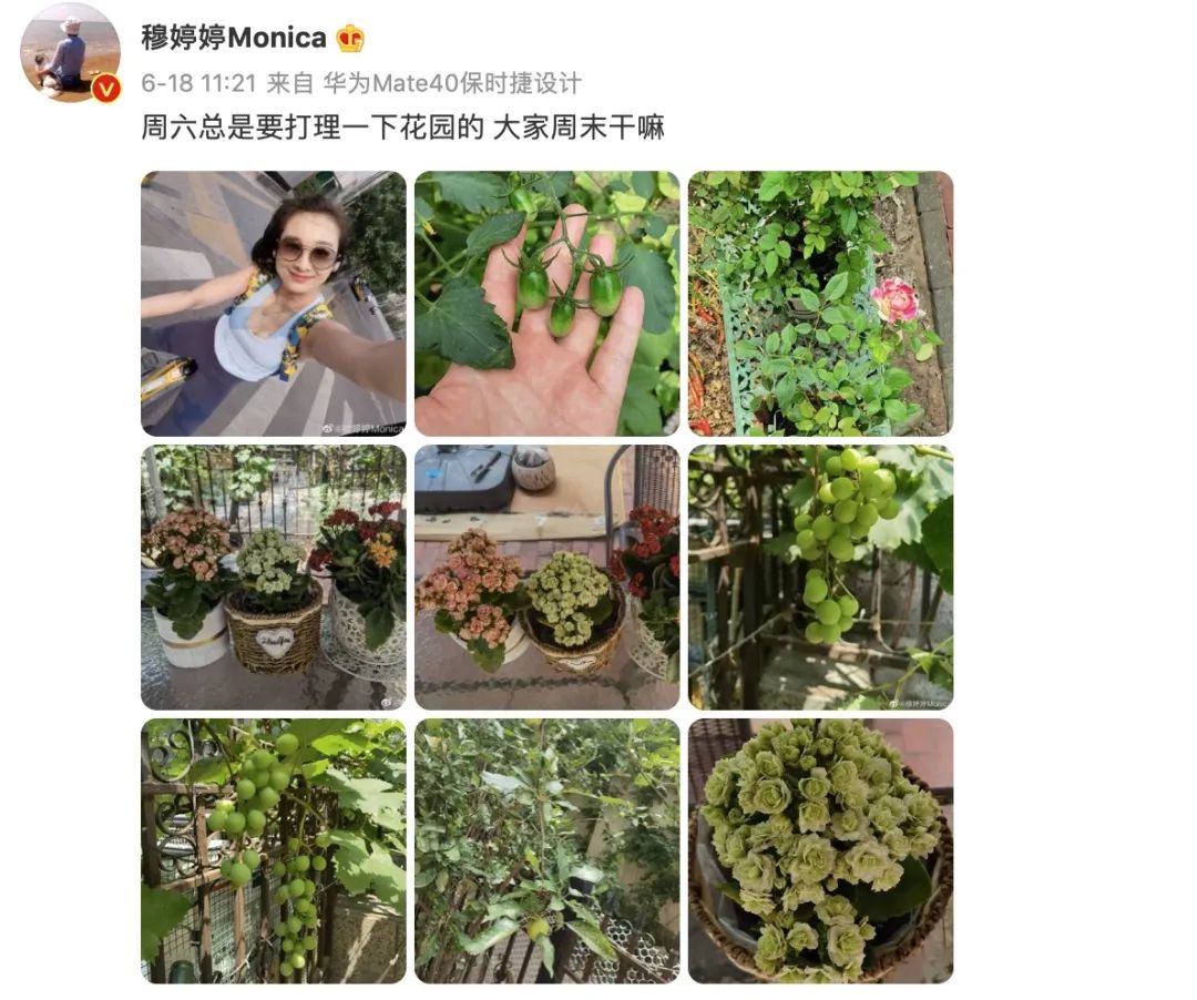 明明实力很强，却被误认为18线演员，这7人到现在还没火，可惜了