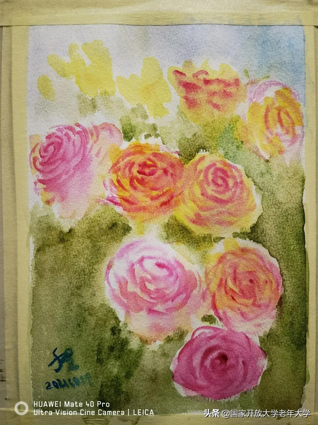 在校园·良作 | 水彩让我们的青春重新绽放——水彩画初级班学员作品