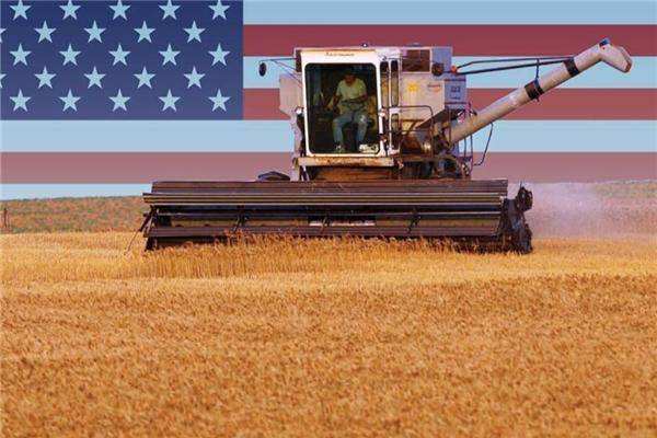 美国耕地面积比中国大，可为什么粮食产量不及中国