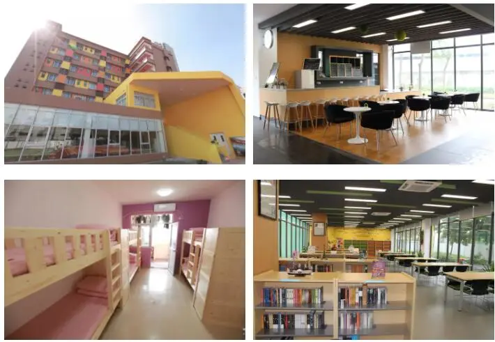 1对1升学指导规划，广州为明学校国际部圆你名校梦