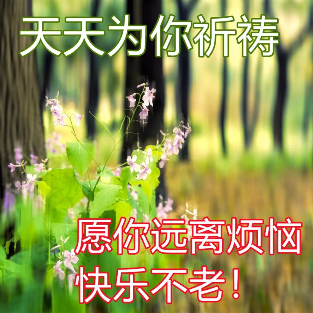 降温天气祝福早上好图片 下雨天早安问候美图