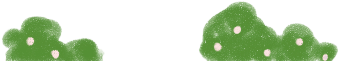 大数据与互联网学院 - 深圳技术大学（全校普通本科计划招3400人）