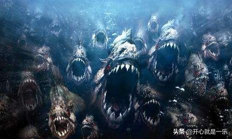 The Five Most Terrifying Creatures Of The Amazon River Piranhas Are All On The Plate In Their Mouths Laitimes