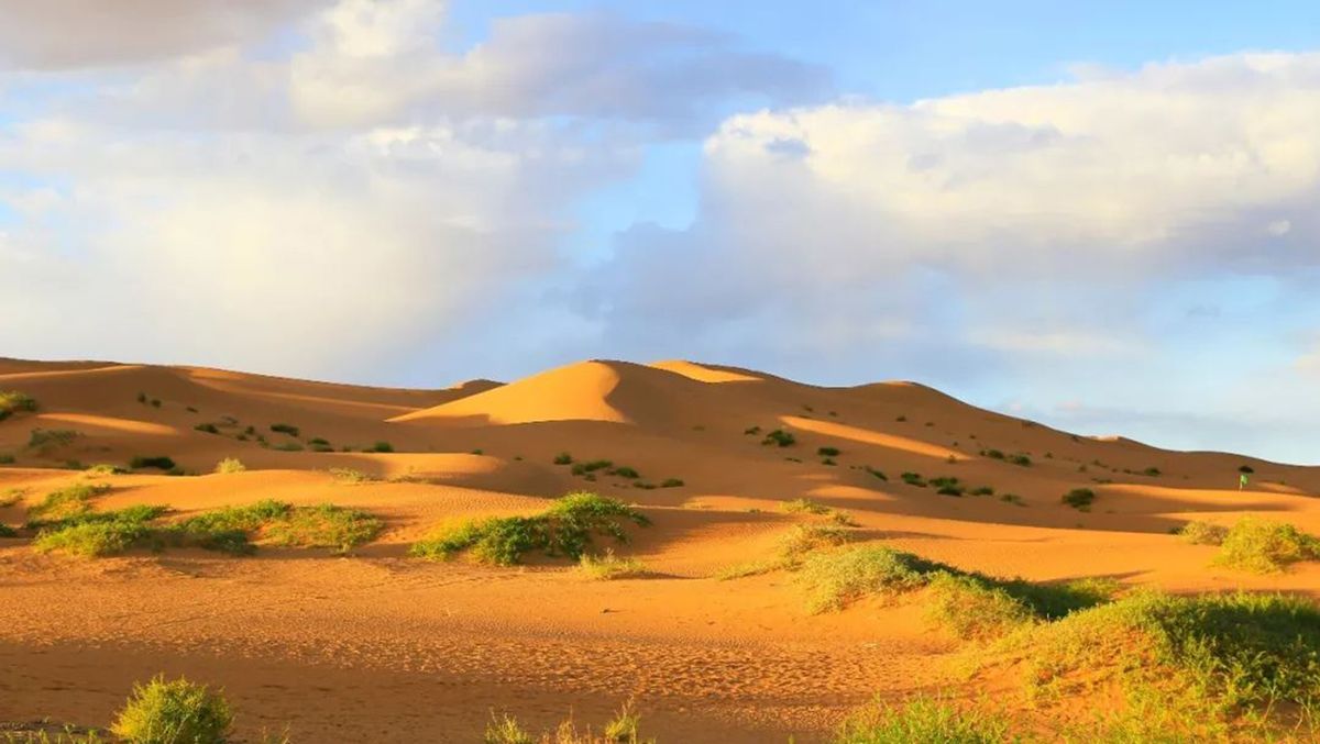 中国黑科技：“吞沙巨兽”，一天能吞食40亩沙漠，已投入甘肃建设