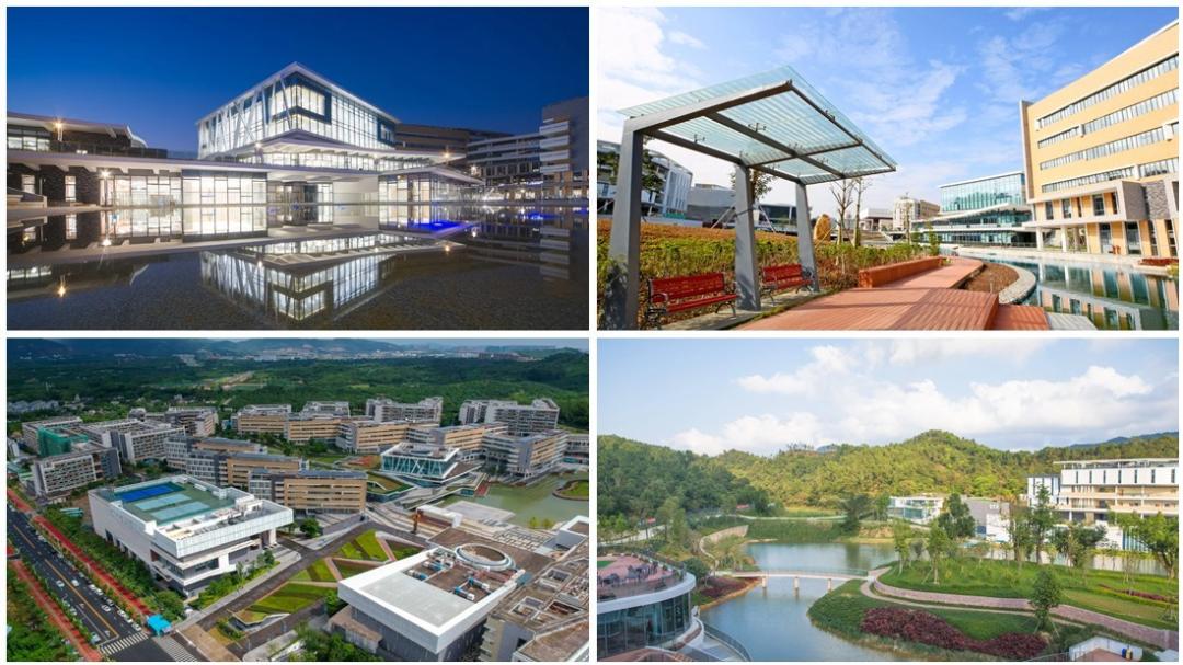 这所合作办学学校，让你在大湾区就能享受港式教育