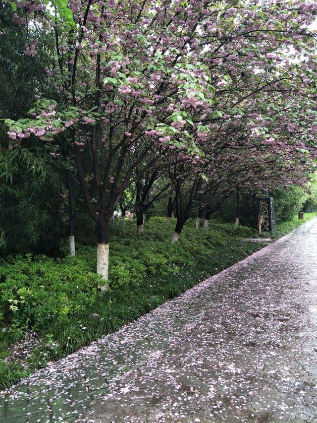 为什么你一边甜宠爱情剧《梦华录》，一边却又高喊不再相信爱情？