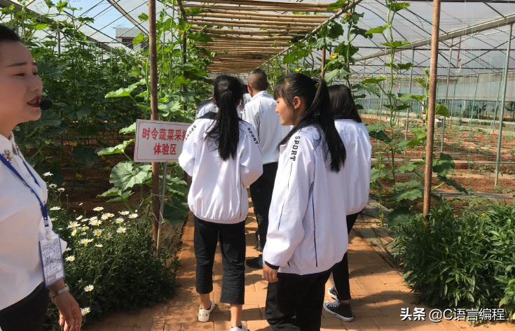 大学还没选好专业？看看对这 9 大专业的对比分析吧