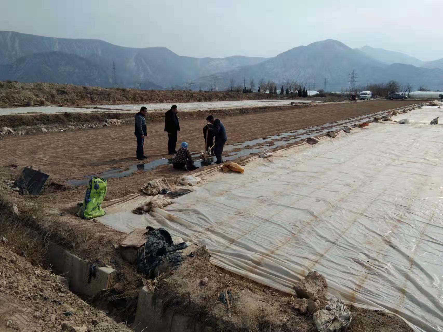 阳春三月下地忙