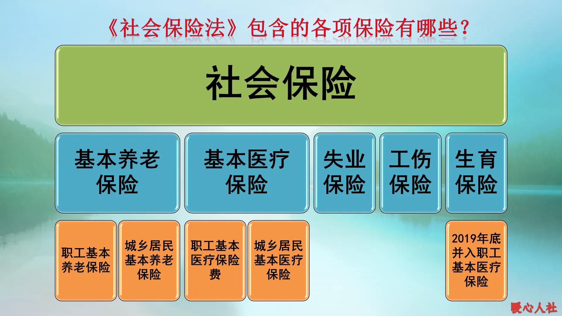 养老保险领取政策,养老金领取政策