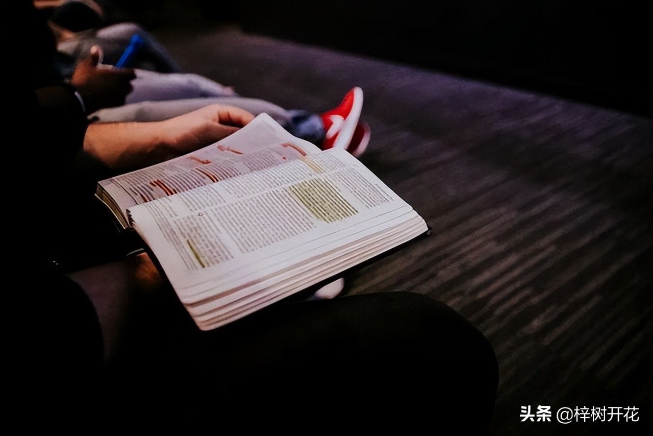 究竟什么才叫专业？“专业”是从哪些方面来判断或评估的？