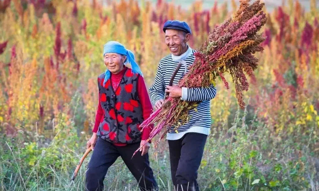 被超模明星热捧，有00后盯上了这个新战场