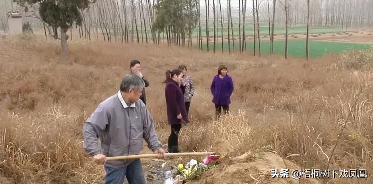 清明节在自家地里盗墓，从东汉墓里盗出现代工艺品，专家说是真货