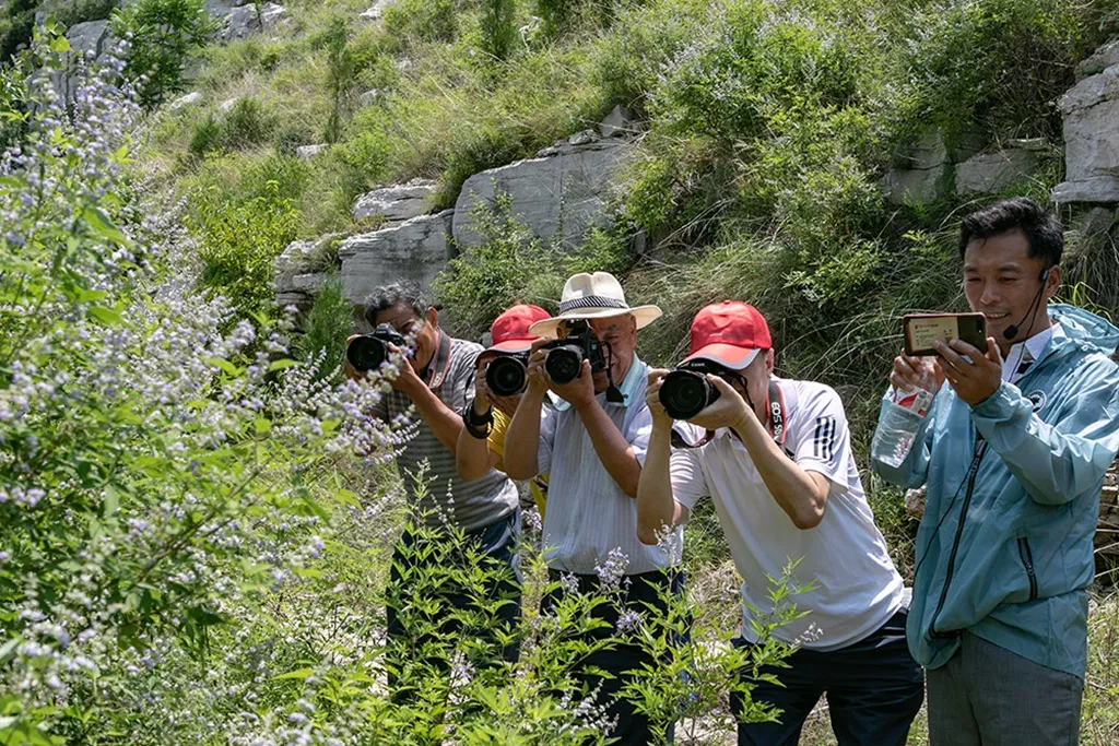 中国风景区摄影网与青州金斗山景区正式签约“中国摄影创作基地”