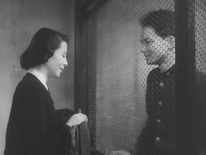 世界电影（0128）日本电影《正是为了爱》（1955）剧照欣赏