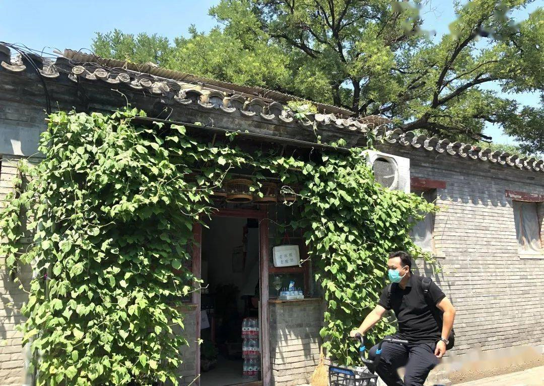 京城恭俭胡同的老故事