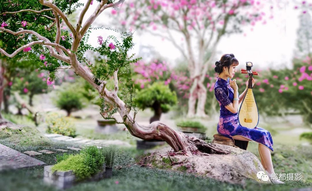 2024世界园艺博览会预热活动暨第二届紫薇花主题摄影大赛征稿启事