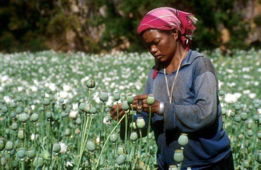 傅衍鲲：退休教师化身缉毒卧底，混进毒窝十年，被出卖后结局如何