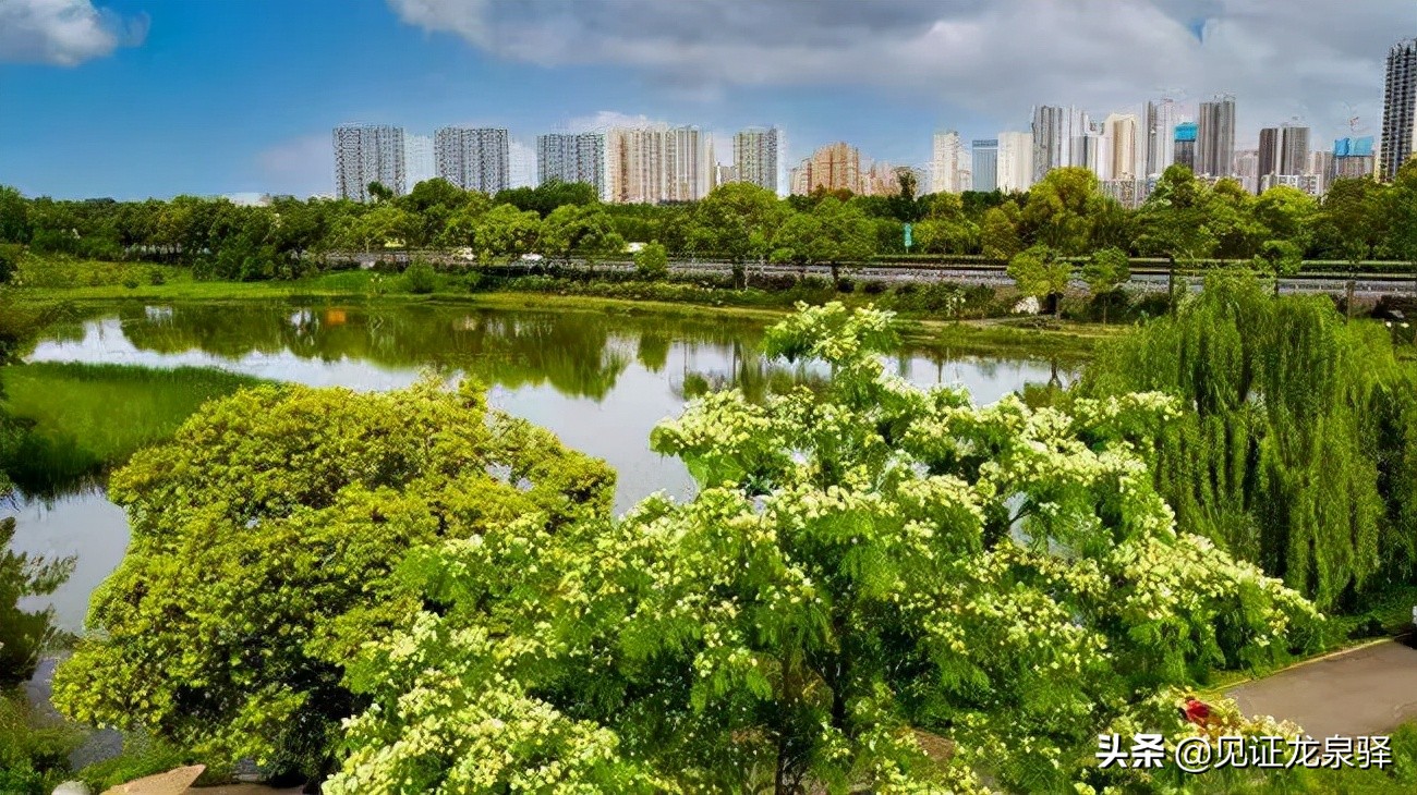 聚焦招商｜第一站：大面——全域开放 全力攻坚 全面提升