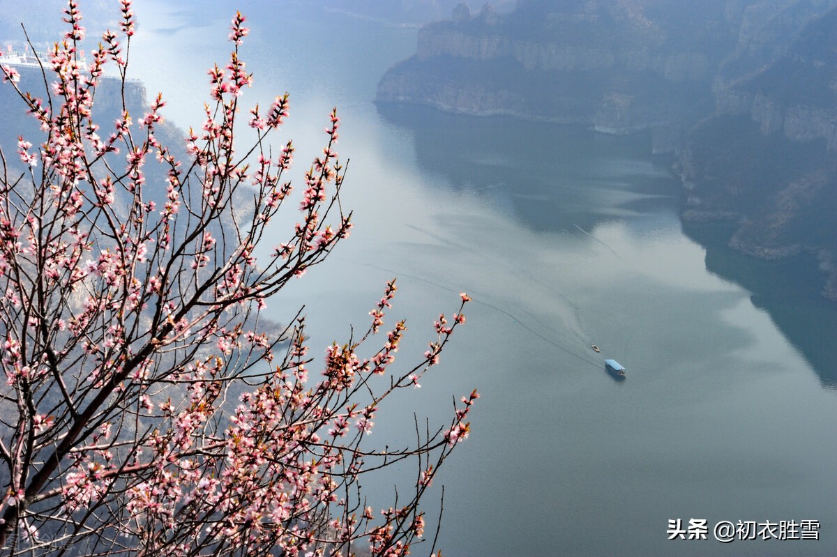 新年感怀哲理美诗六首赏析：年年仍岁岁，故故复新新