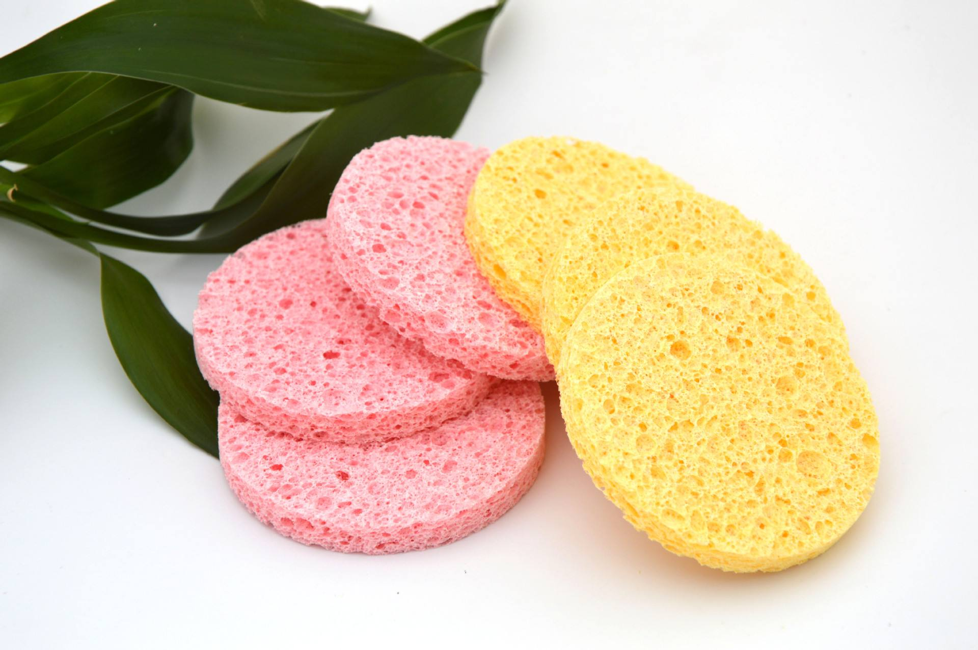 厨房海绵变细菌培养皿！1立方厘米500亿个细菌，比马桶还要脏