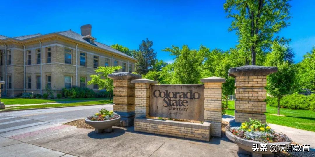 十所录取率超80%的美国大学，几乎申请就给offer