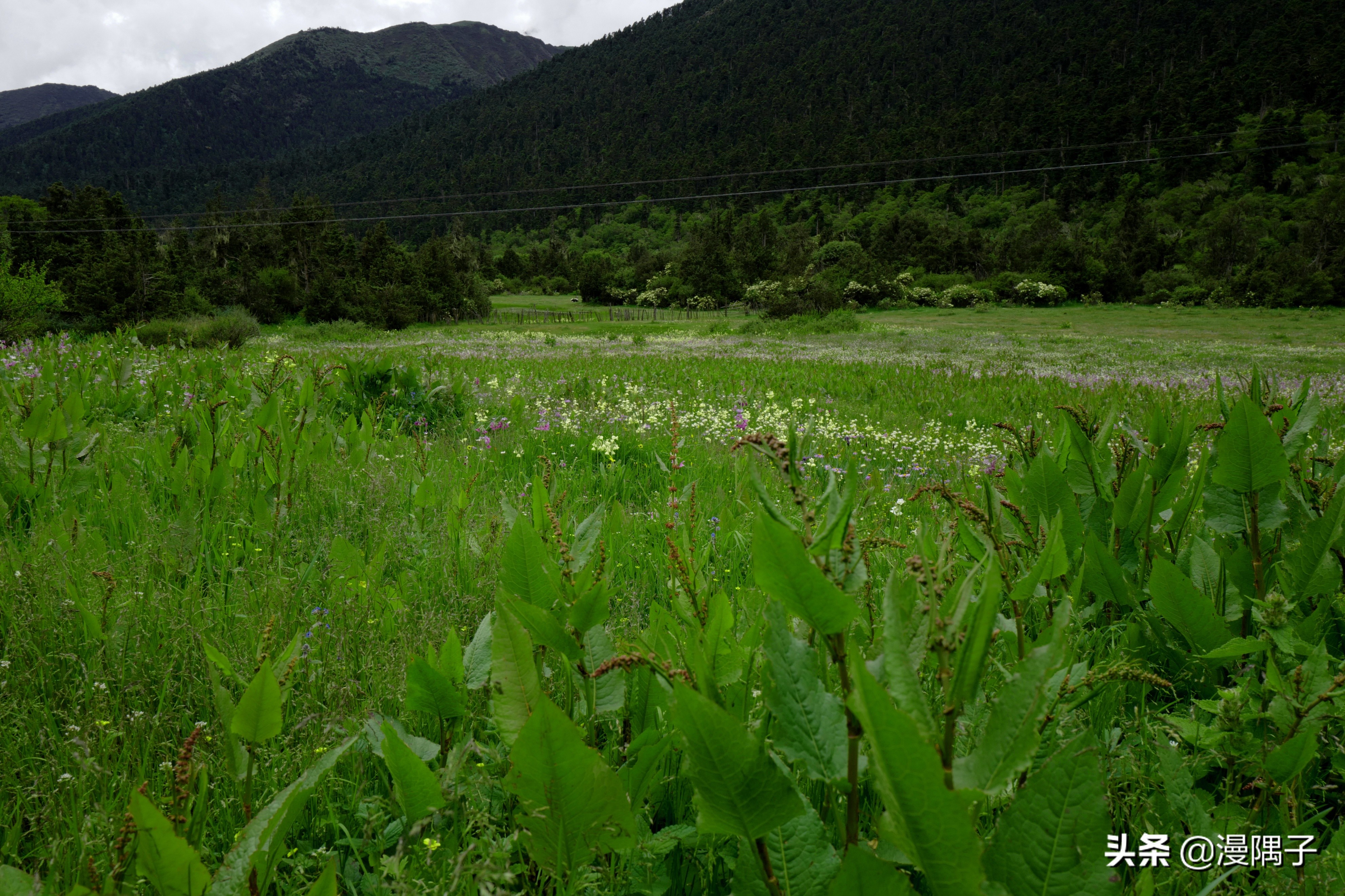 喜马拉雅十大沟谷，峻极天境里的文明秘道