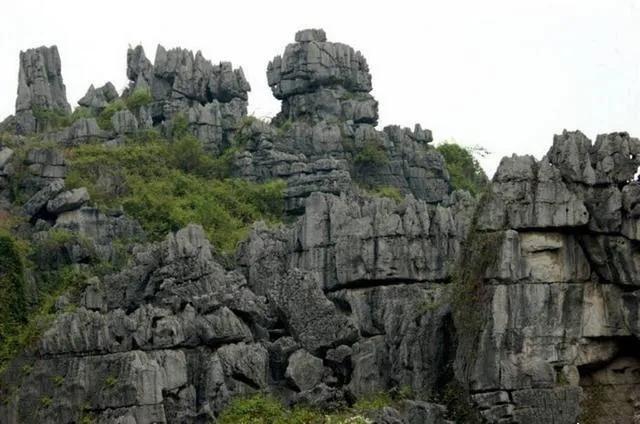 家乡的味道，就是人生的味道