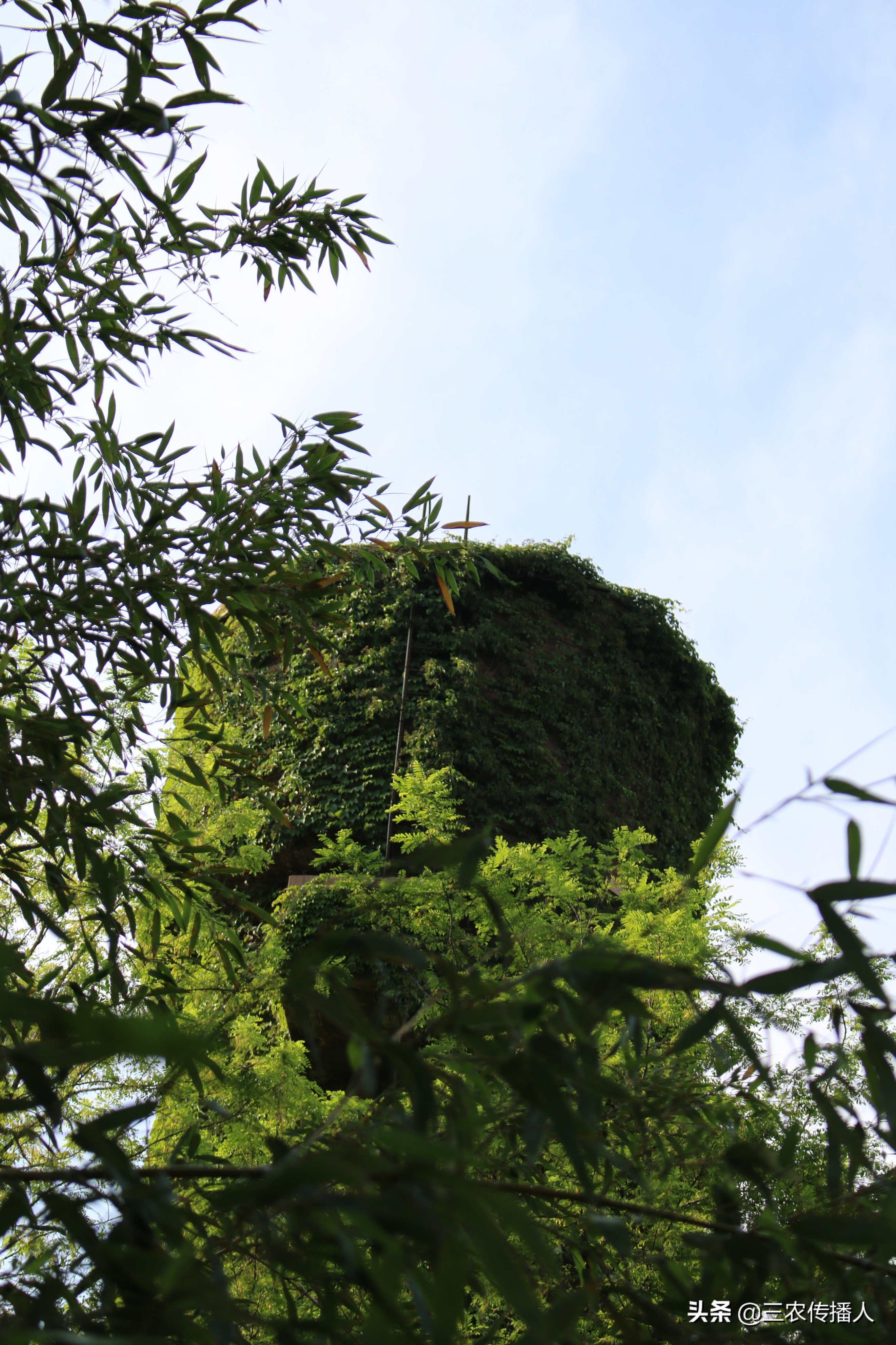 高考将至 | 用照片带你领略中国农业大学~ 是你向往的大学吗？