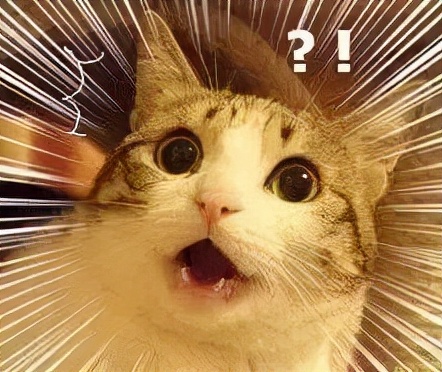 收藏！亲戚称呼全攻略，春节拜年就靠它拿红包了 | 方志江苏