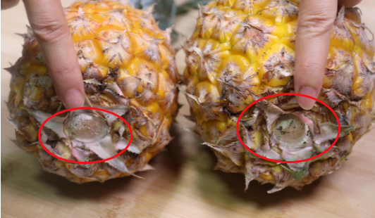 优质的菠萝,其果心新鲜,且微微干燥,没有发霉发黑.