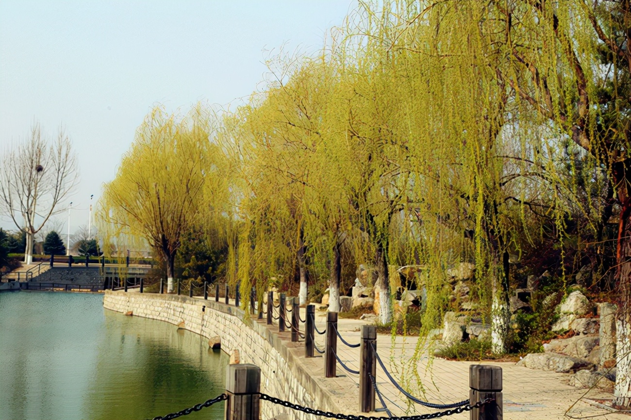 统考+校考！山东艺术学院发布2022年本科招生专业考试公告