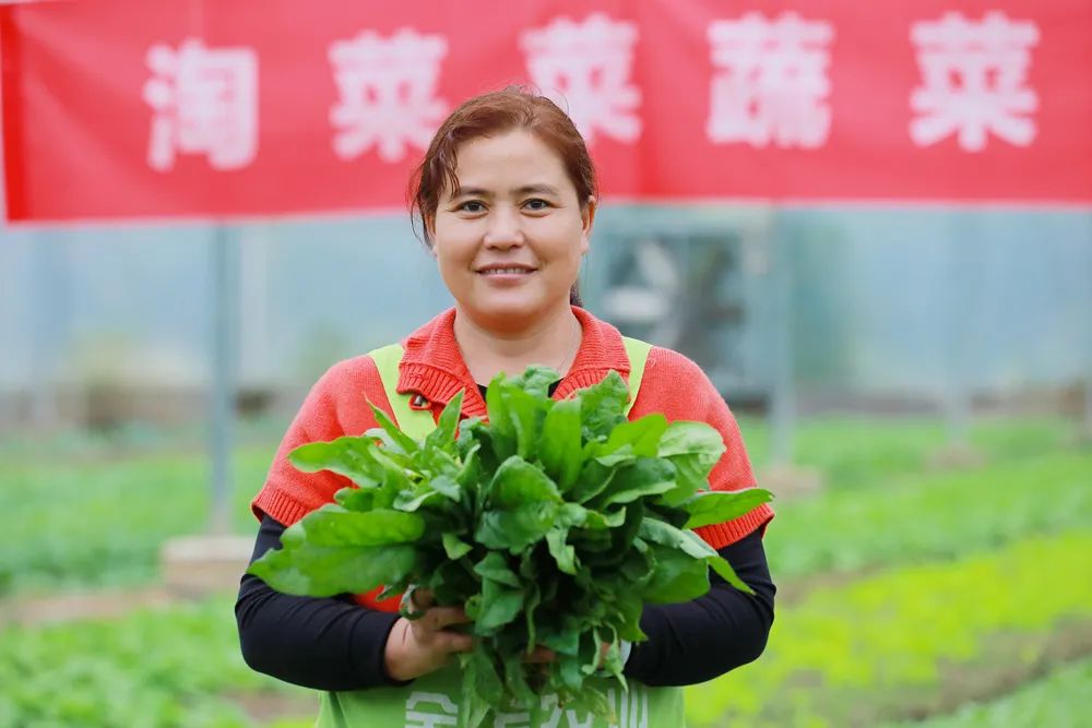 不一样的阿里淘菜菜