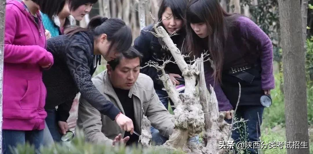 院校风采 || 走进“示范高职院校”—汉中职业技术学院