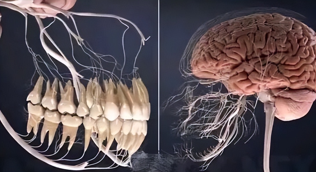 “黄晓明跟赵丽颖不是离婚了吗？”网友看傻：是离了，各离各的…