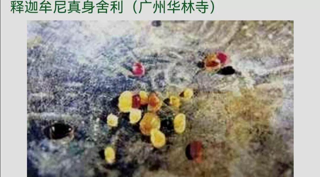 媲美秦皇陵的法门寺珍宝有多震撼？仅灵骨舍利价值就不低于和氏璧