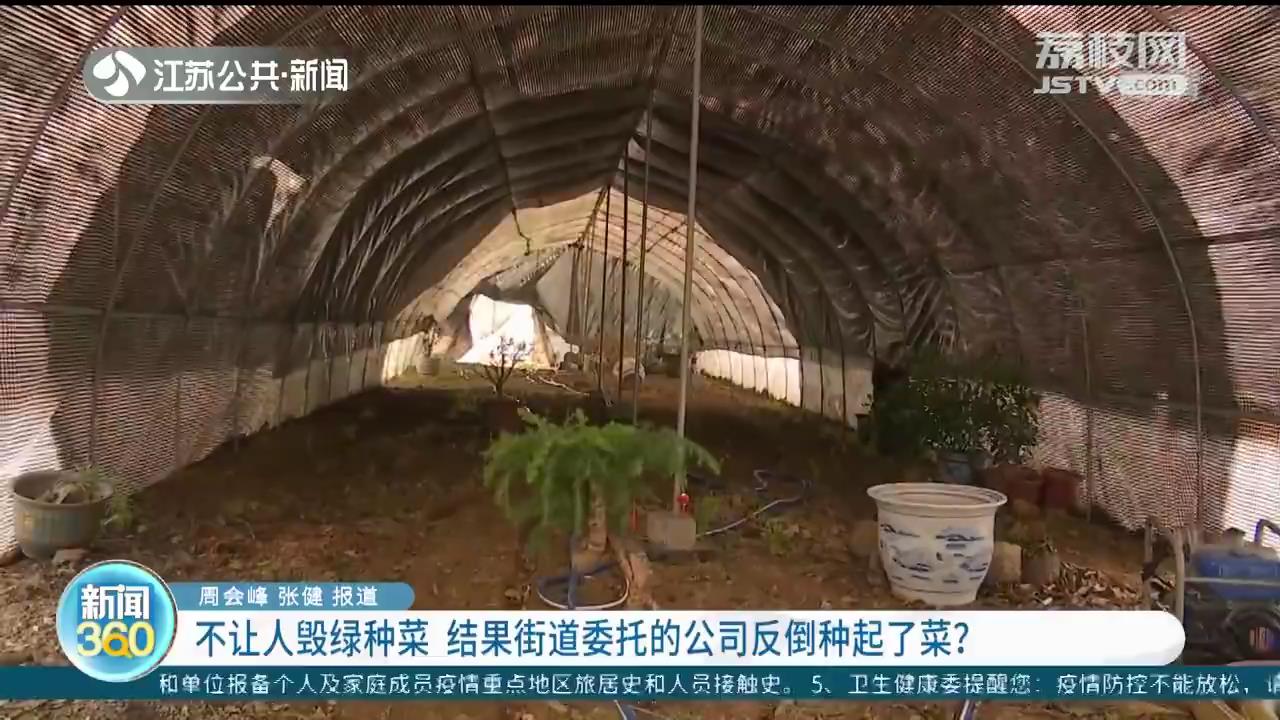 不让人毁绿种菜 结果街道委托的公司反倒种起了菜？