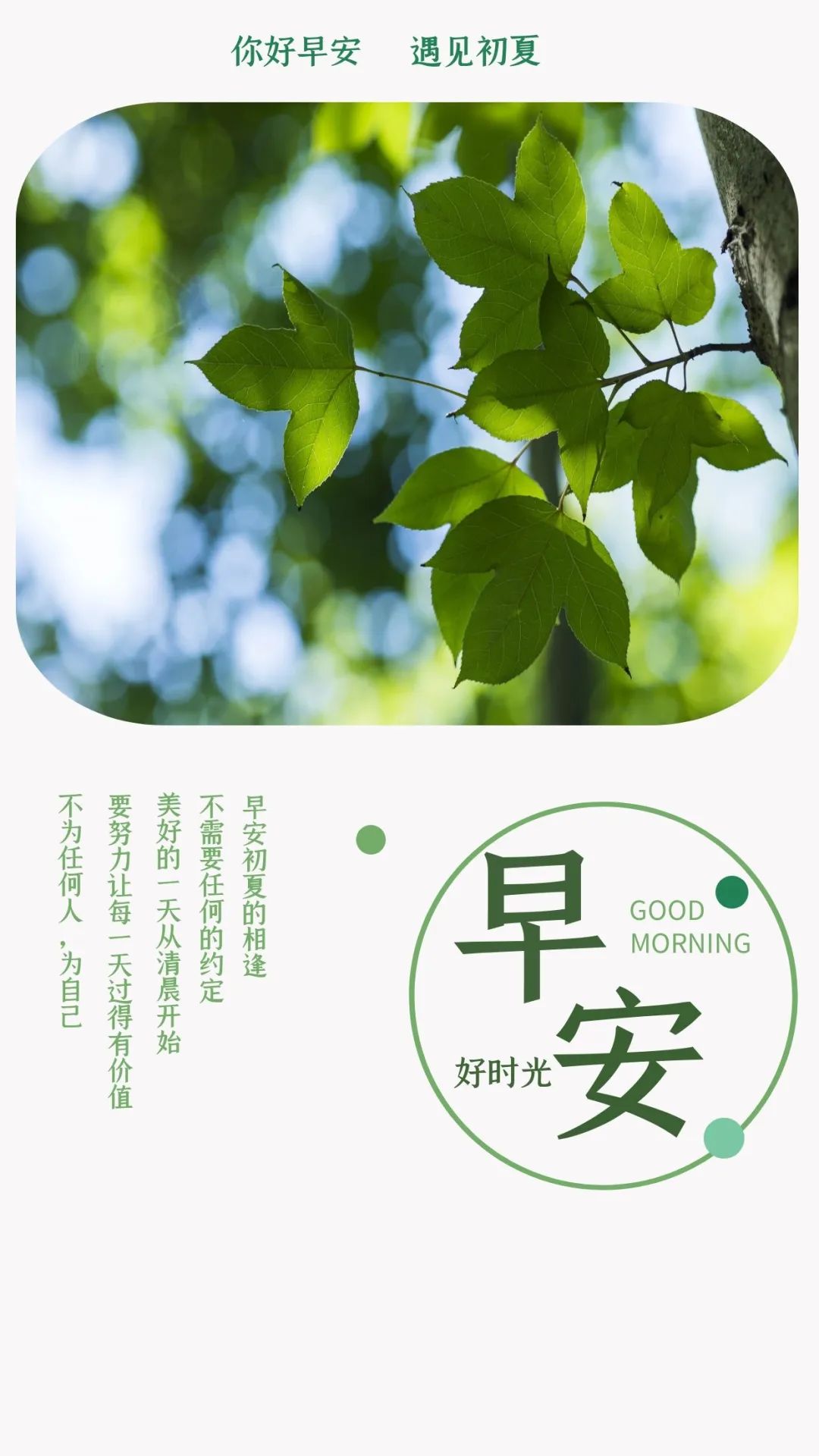 「2022.05.21」早安心语，小满正能量最美阳光语录句子说说图片