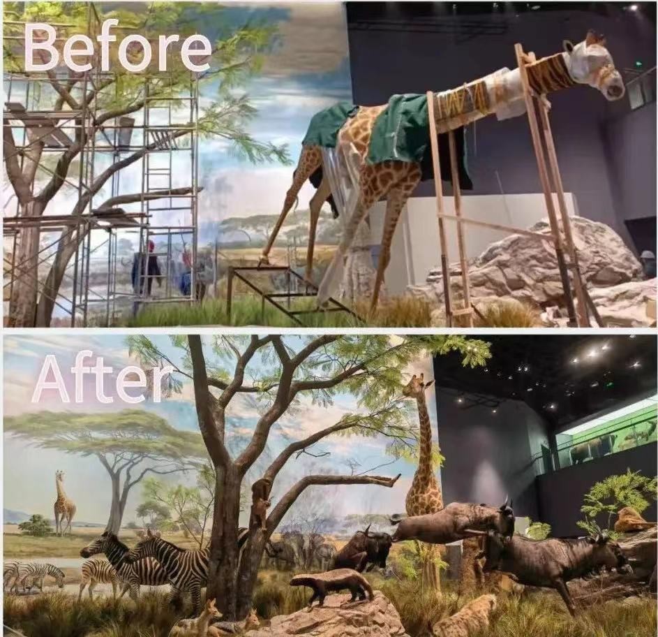 “恐龙”守候，坐拥4大食堂、水上图书馆！2022，成都理工大学等你来！