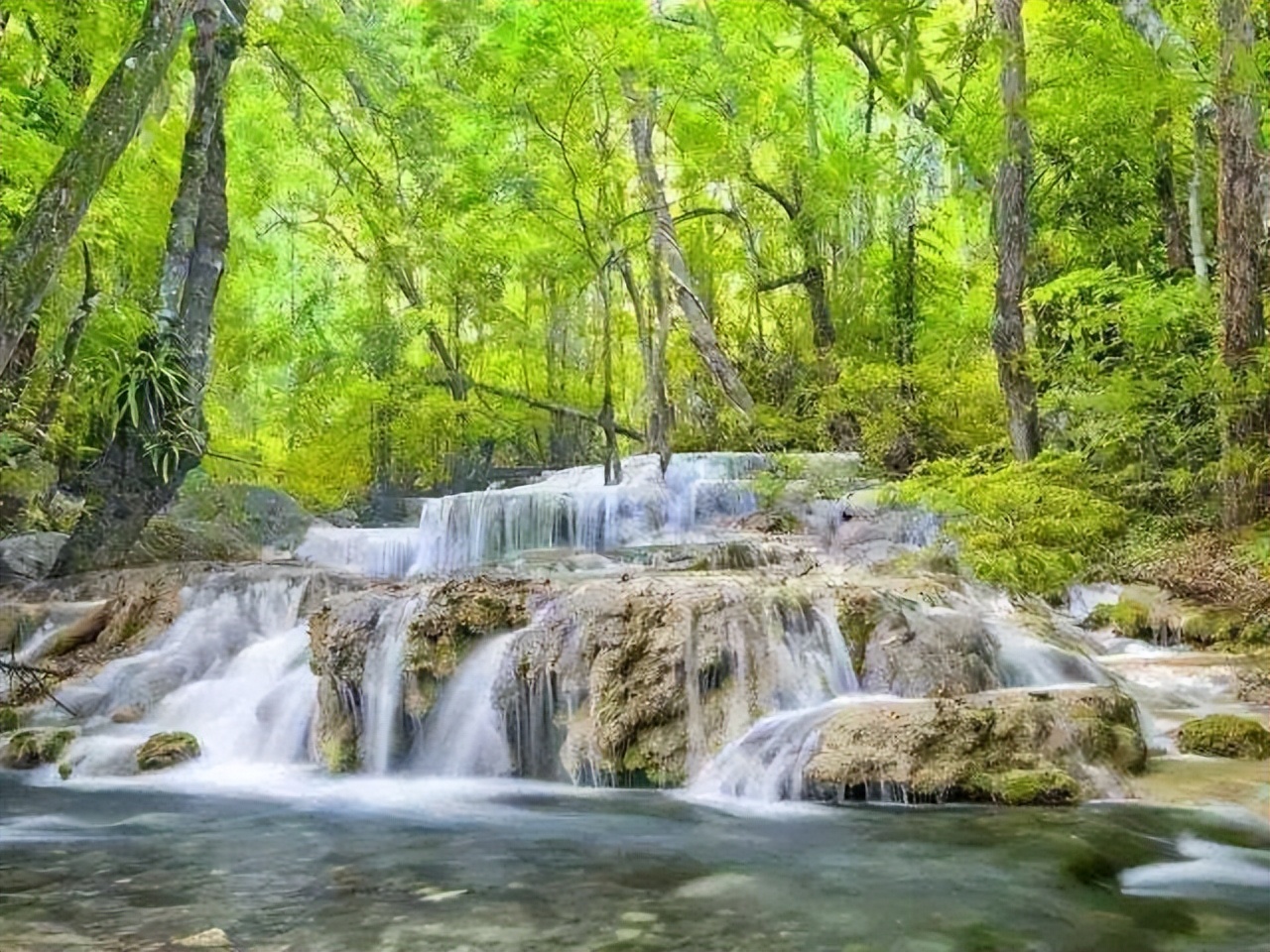 大自然的流水声（优美语句）