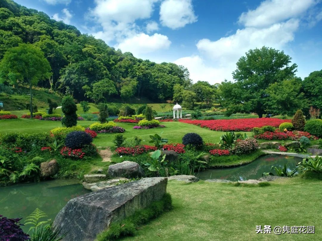 一个小院，花开四季，云淡风轻