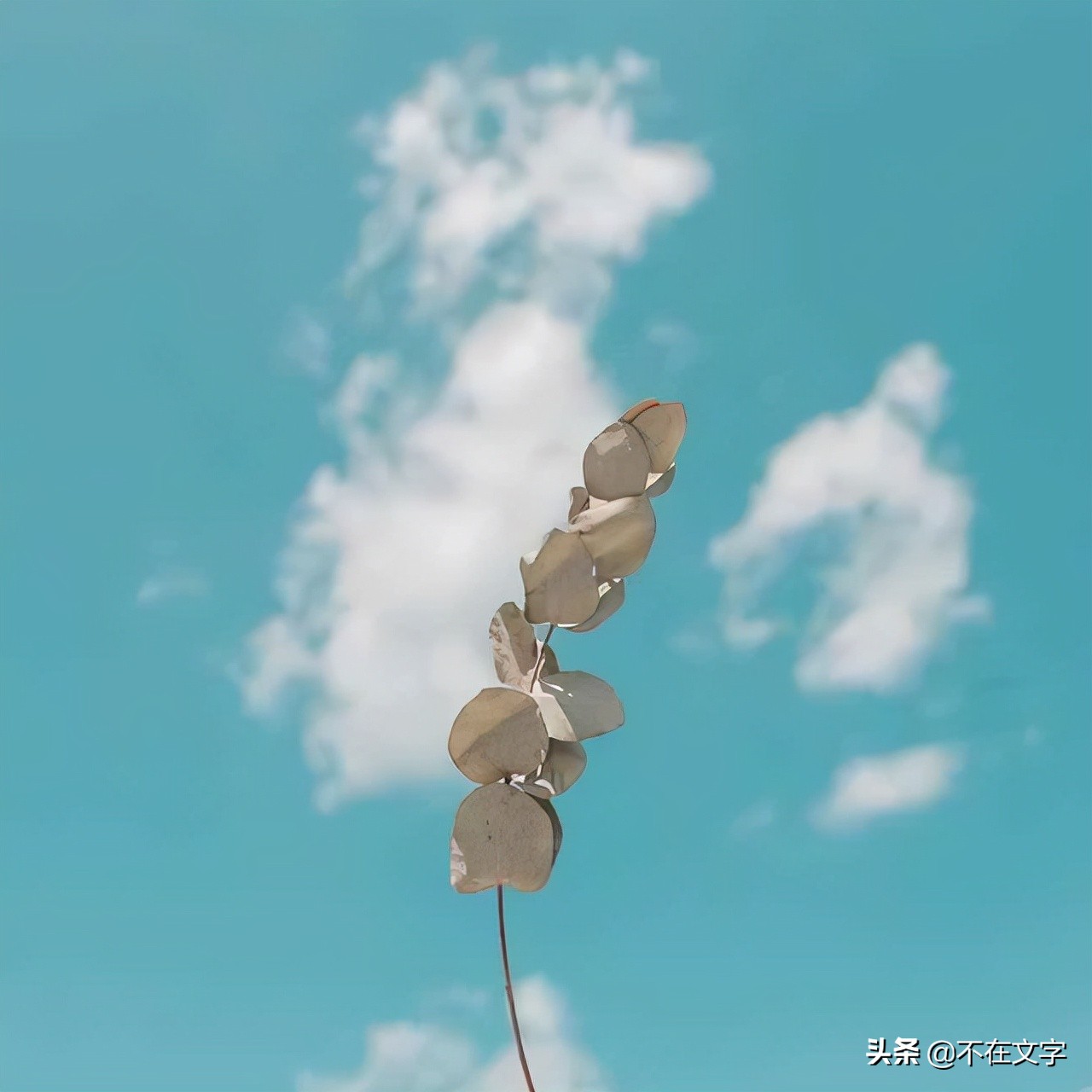 积极向上的限量版句子，阳光向上，句句精妙