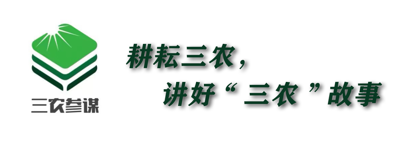 3.15继土坑酸菜之后，禹州粉条也在喊冤：商品不假，无添加