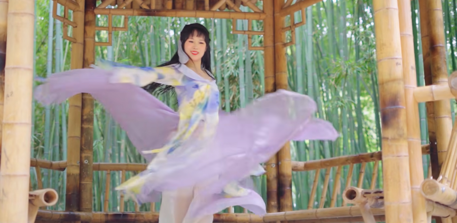 糖小V事件爆发后 B站宅舞区大理整顿COSER们慌了~-哪边嗨