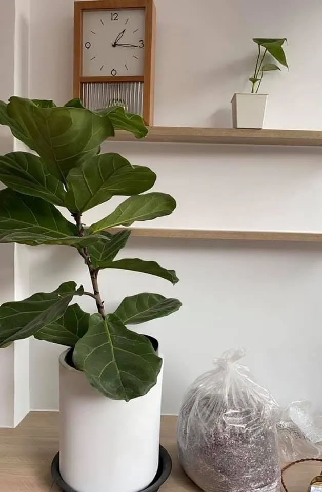 26年老屋变身血泪史！自己当统包，10大重要提醒无私分享