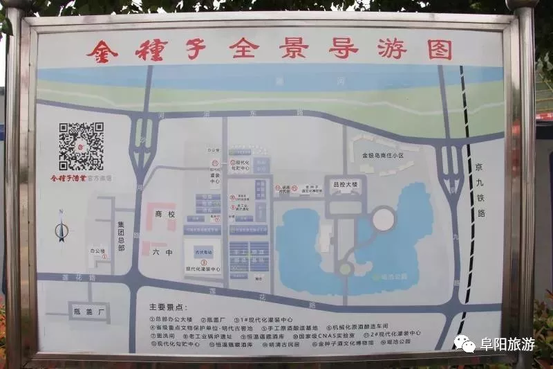 华润浇灌金种子，开出金花一朵朵