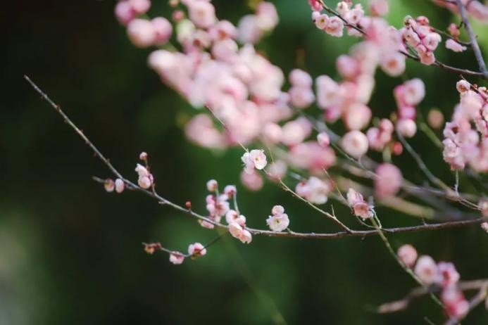 高清大图来袭！湖北高校“最美校花”新鲜出炉！颜值超高，惊艳众人！