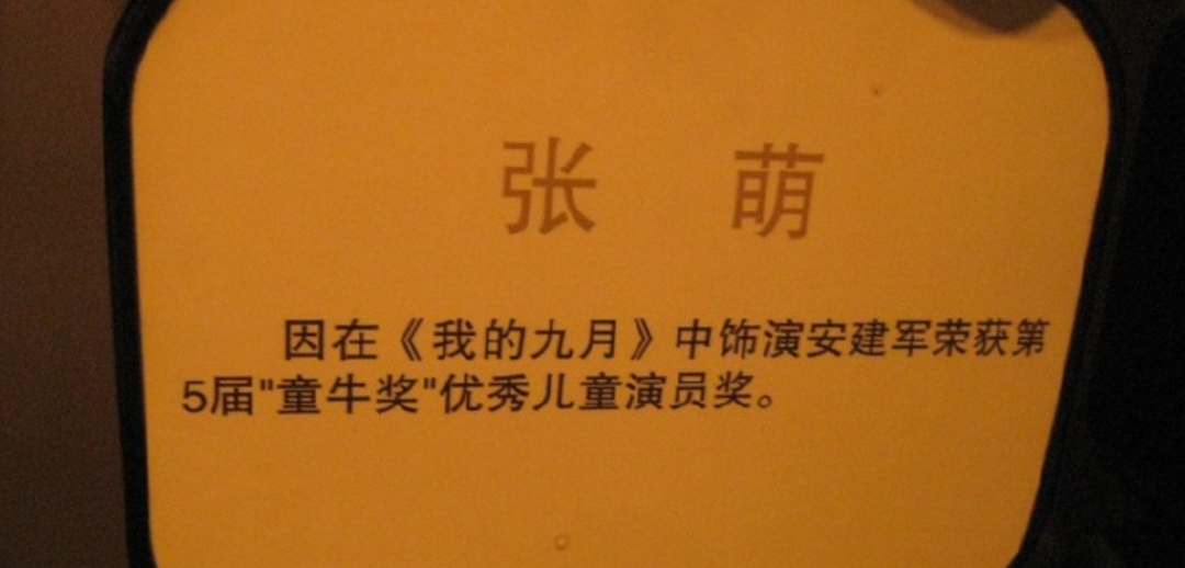 90年代，这些童星“红极一时”，30年过去了，他们如今怎样了？
