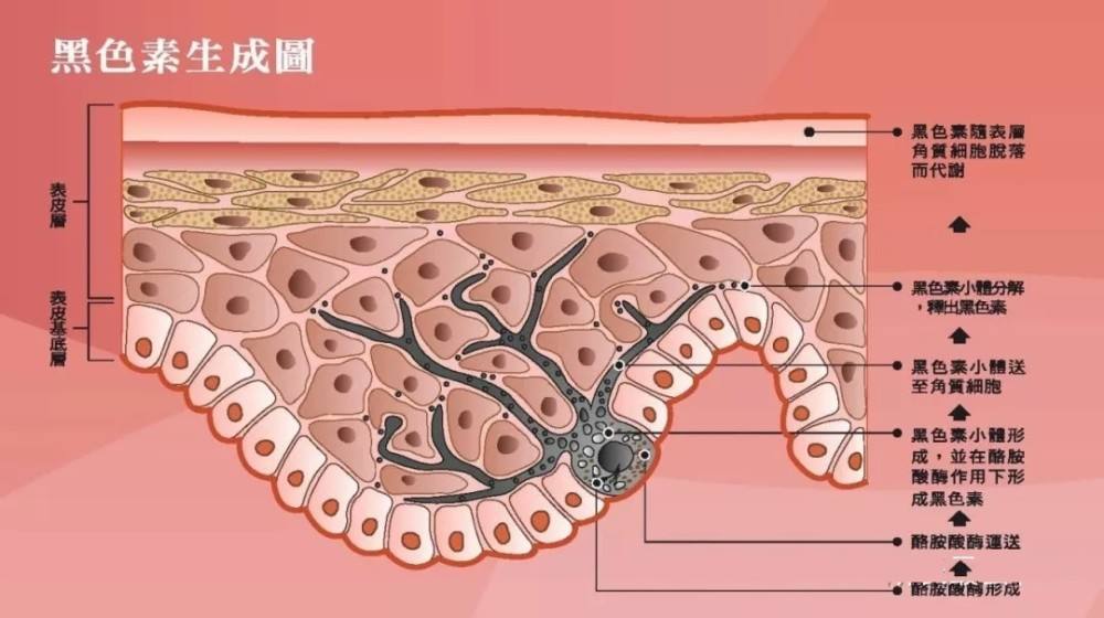 �ж�ŵ��������һ������������̷��䡱��ֳ������Ϊ����ڿƼ�