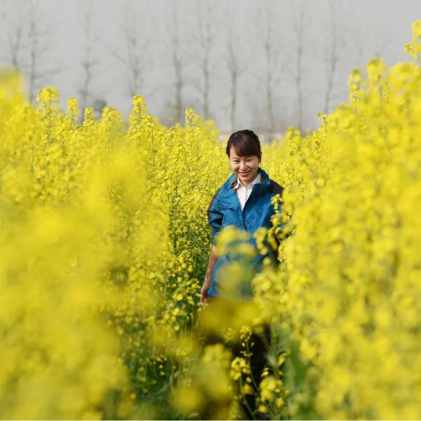 咸宁的油菜花开了 金灿灿的一大片 美爆了 环游号